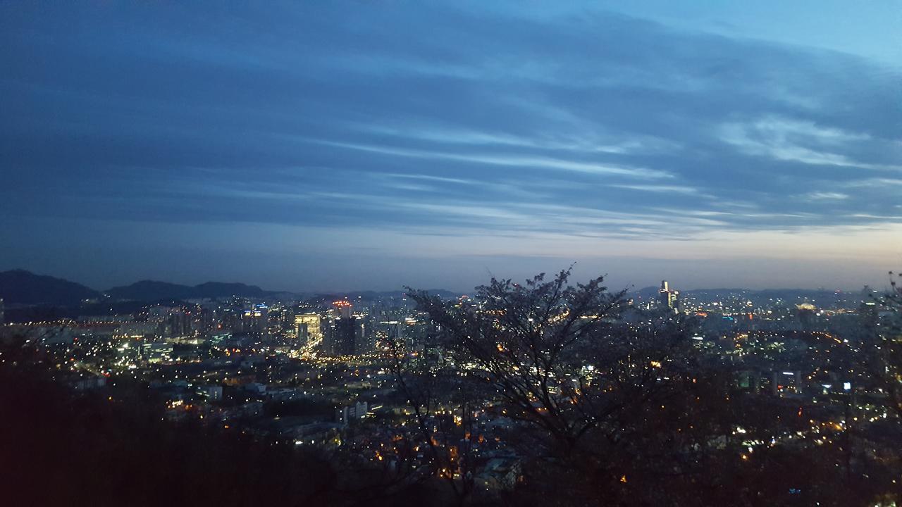 Seoul Forest Stay Luaran gambar
